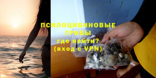 ALPHA-PVP Белокуриха