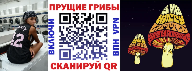 Галлюциногенные грибы мухоморы Губкинский