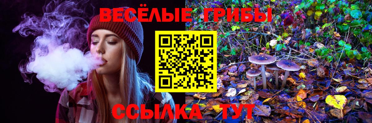 Псилоцибиновые грибы прущие грибы Губкинский