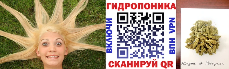 Марихуана план гидра зеркало shop наркотические препараты Губкинский